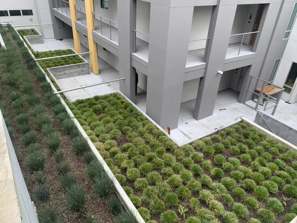 Expert outdoor landscaping for beautiful yards across Colma, CA - Millennial Landscape