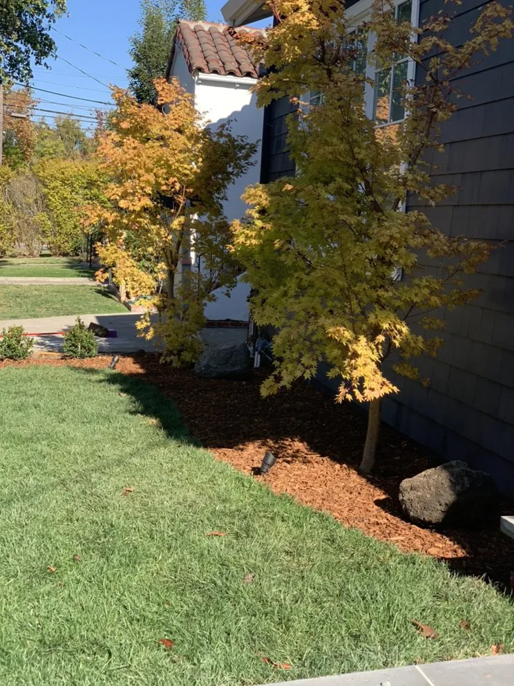 Reliable garden landscaping for outdoor upgrades across Colma, CA - Millennial Landscape