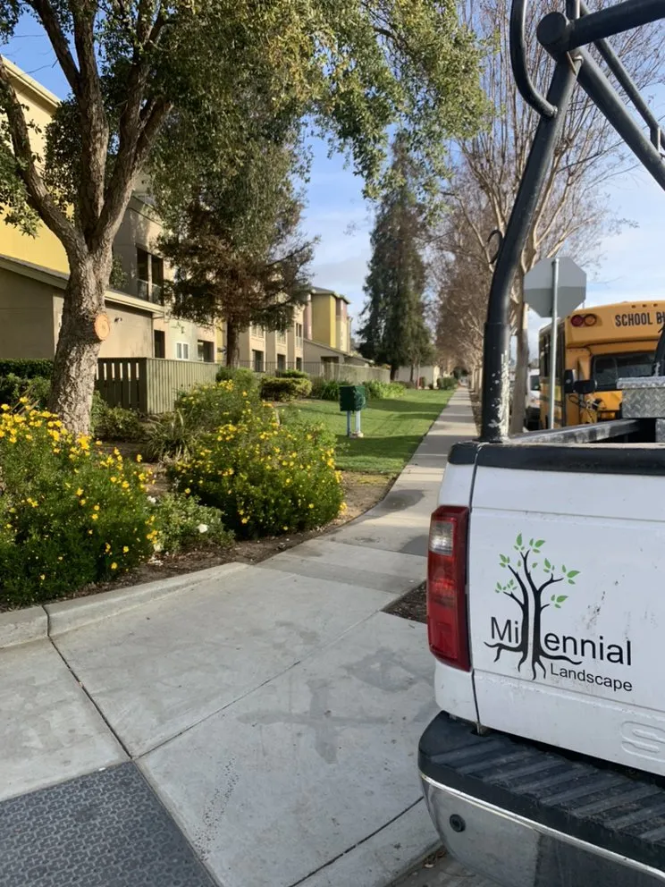Expert landscape installation experts serving Colma, CA - Millennial Landscape