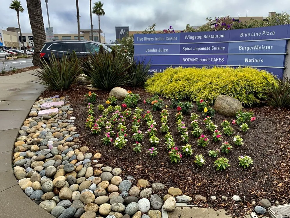 Top-rated residential landscaping in Colma, CA - Millennial Landscape