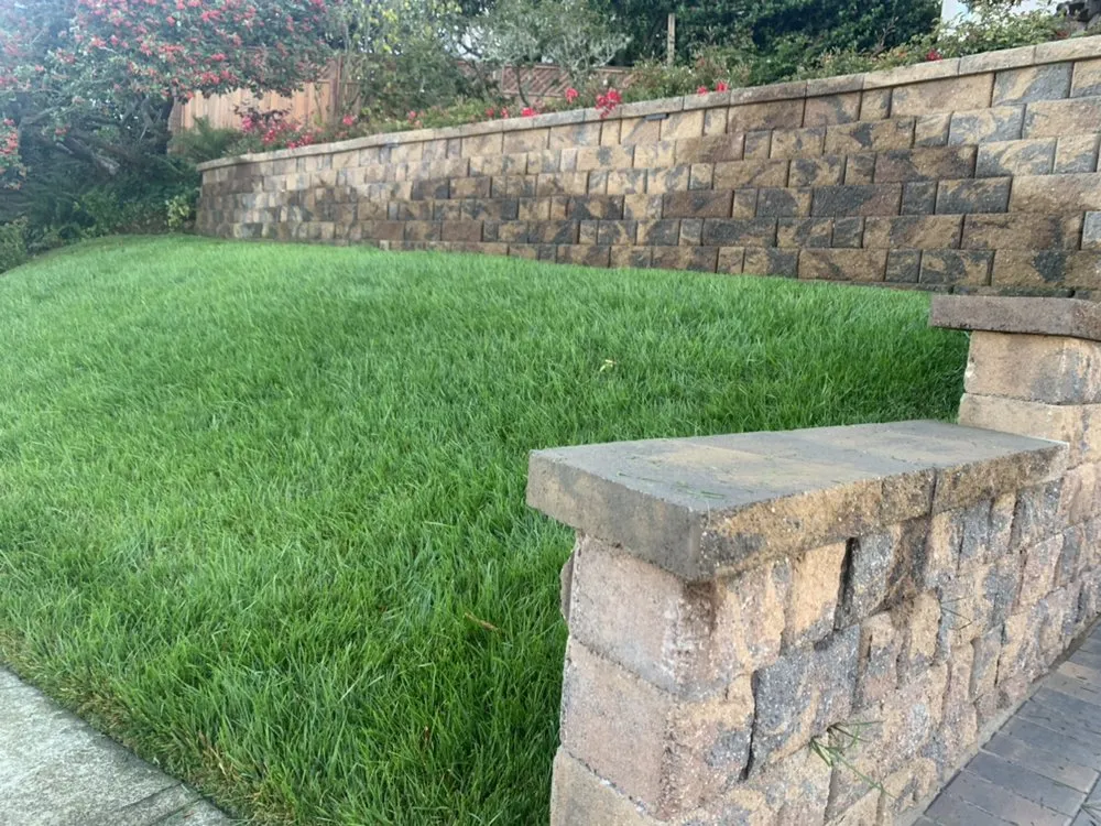 Trusted yard maintenance in Colma, CA by Millennial Landscape