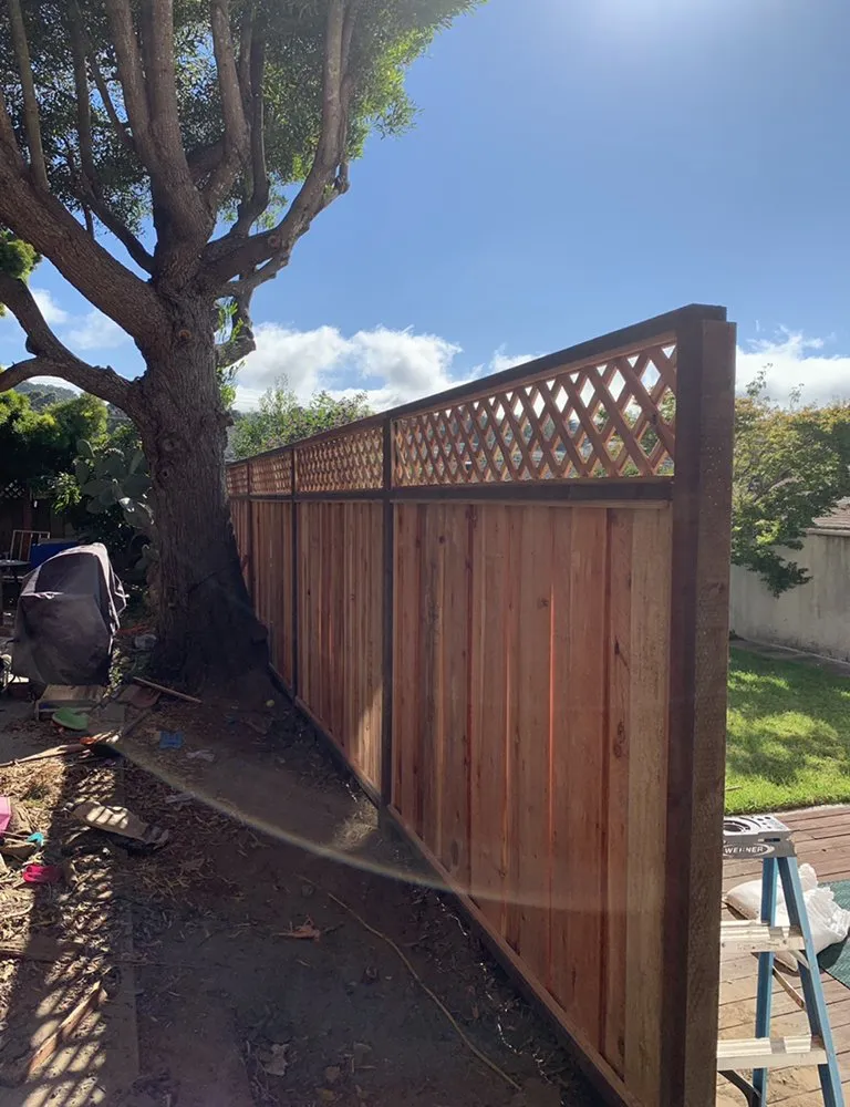 Top-rated yard cleanup service in Colma, CA - Millennial Landscape