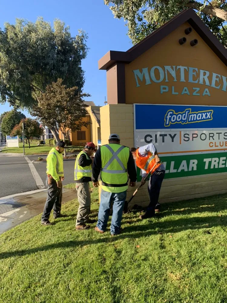 Affordable outdoor landscaping for outdoor upgrades across Colma, CA - Millennial Landscape