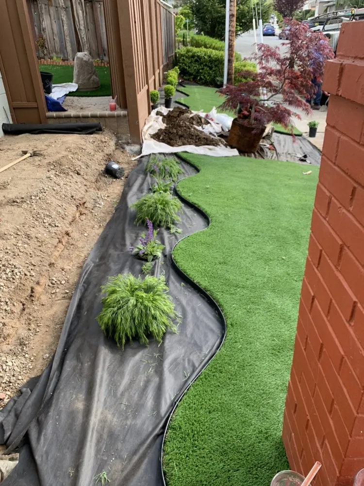 Reliable lawn mowing service experts serving Colma, CA - Millennial Landscape