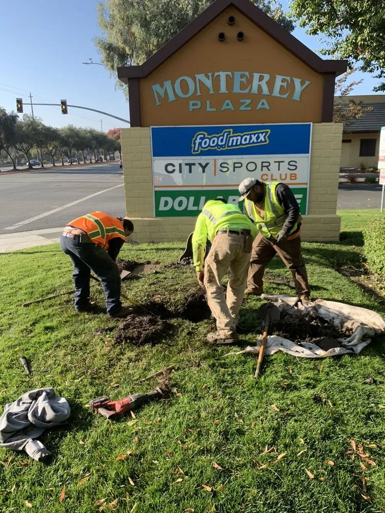Trusted yard cleanup service experts serving Colma, CA - Millennial Landscape