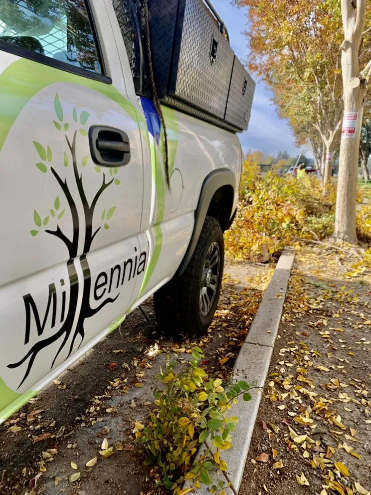 Top-rated residential landscaping for residential properties in Colma, CA by Millennial Landscape