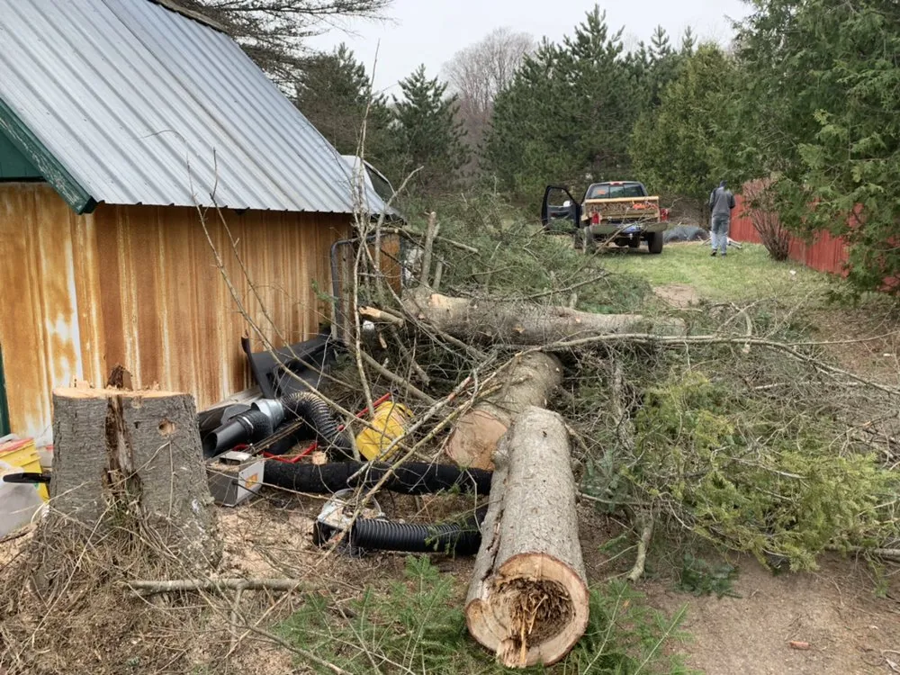 Expert yard cleanup service experts serving Boyne City, MI - Millennial Lawn Care