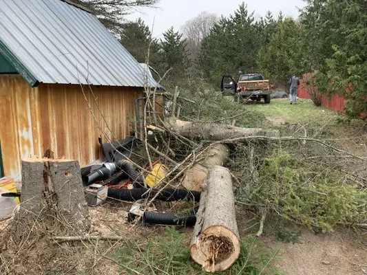 Millennial Lawn Care