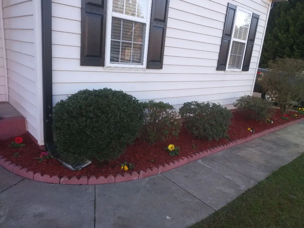 Affordable yard cleanup service for beautiful yards in Charlotte, NC by Millennium Garden Designs