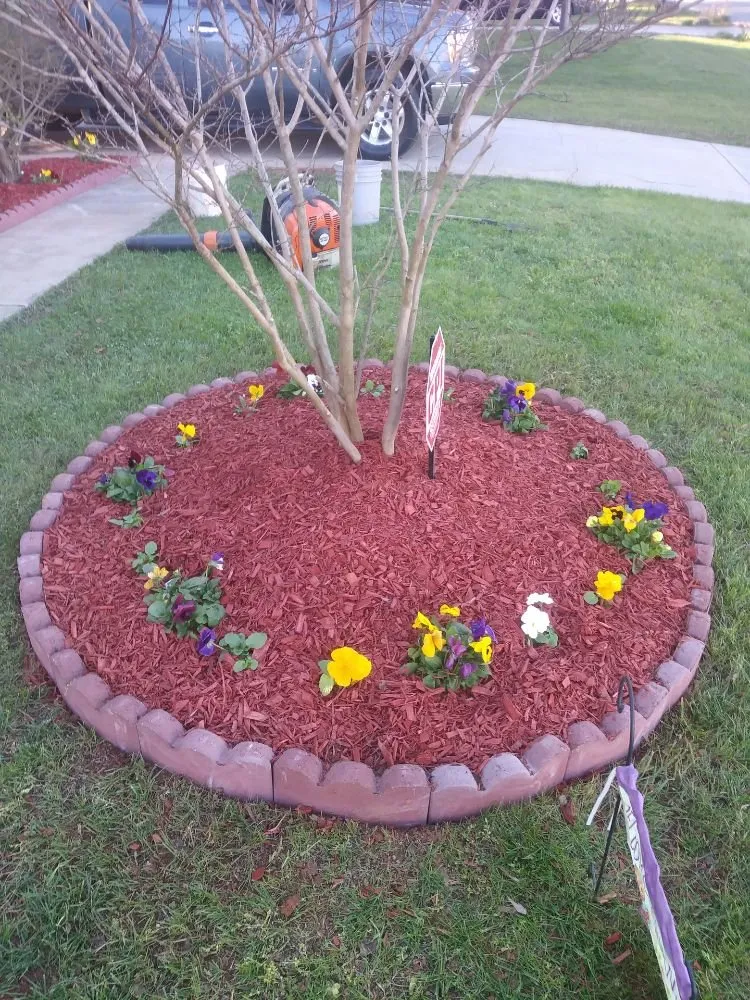 Custom garden landscaping in Charlotte, NC - Millennium Garden Designs