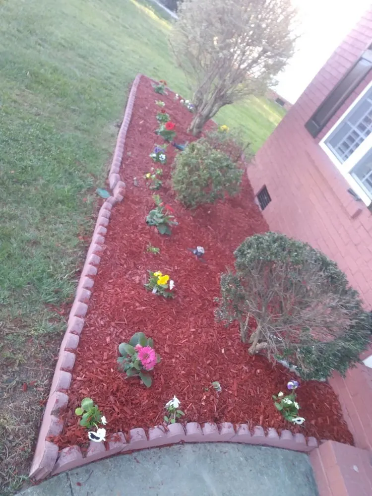 Local outdoor landscaping experts serving Charlotte, NC - Millennium Garden Designs