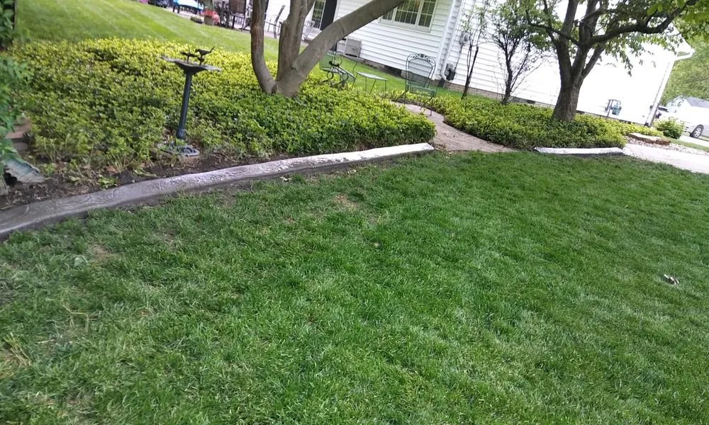 Trusted yard cleanup service in Charlotte, NC by Millennium Garden Designs