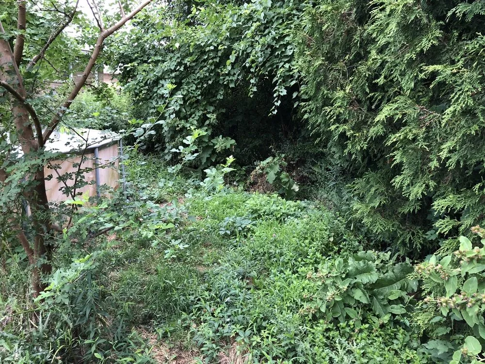 Top-rated yard maintenance for beautiful yards in Lorain, OH by Millennium Lawn Services