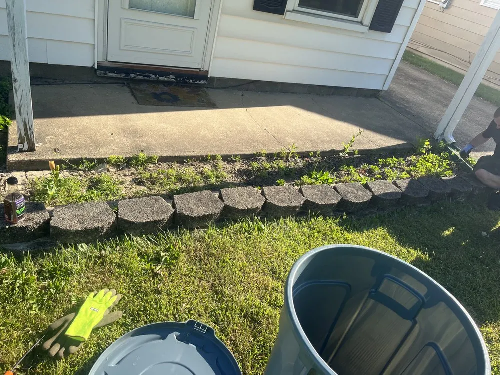 Reliable yard maintenance experts serving Lorain, OH - Millennium Lawn Services