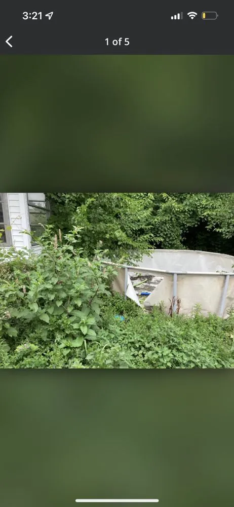 Reliable yard cleanup service experts serving Lorain, OH - Millennium Lawn Services