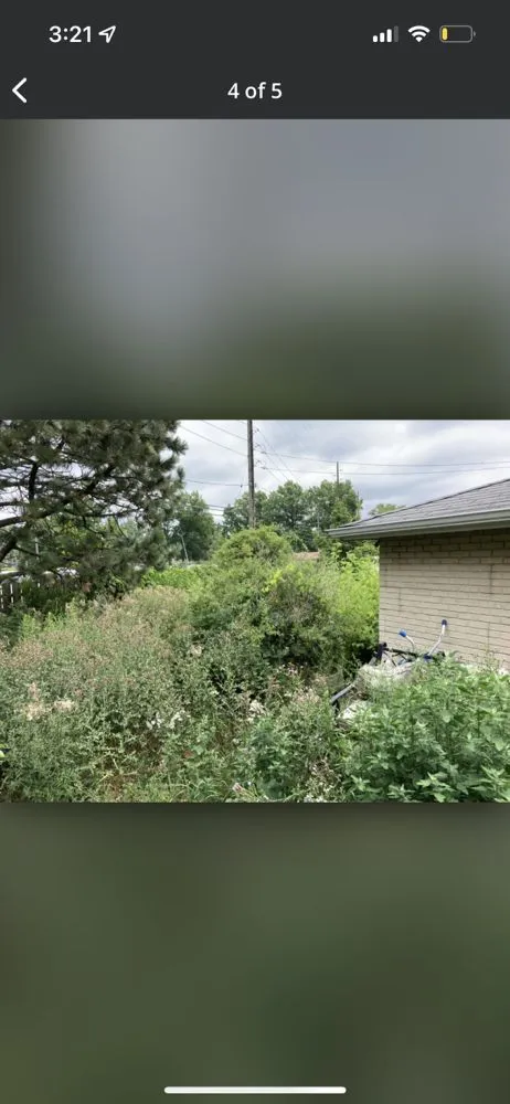 Trusted landscape design experts serving Lorain, OH - Millennium Lawn Services