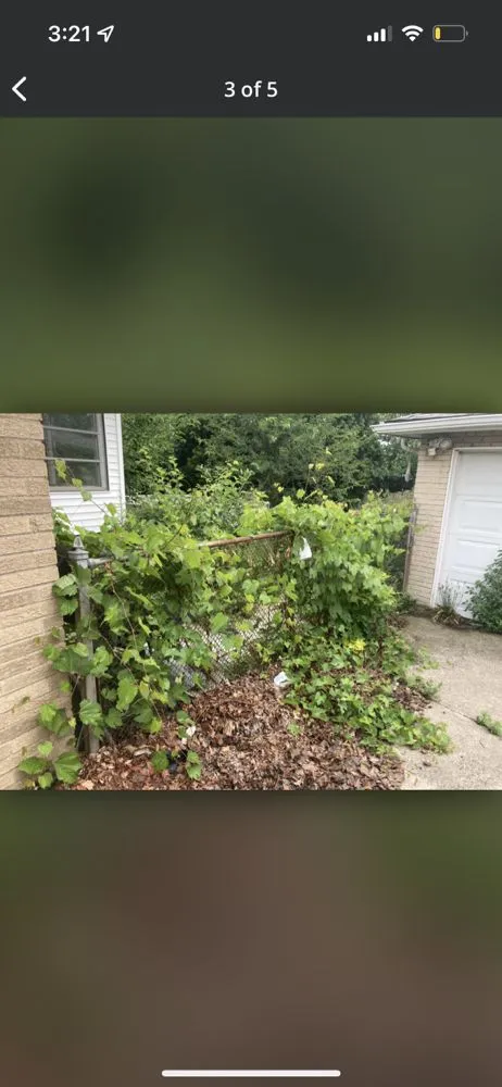 Reliable landscape design in Lorain, OH by Millennium Lawn Services