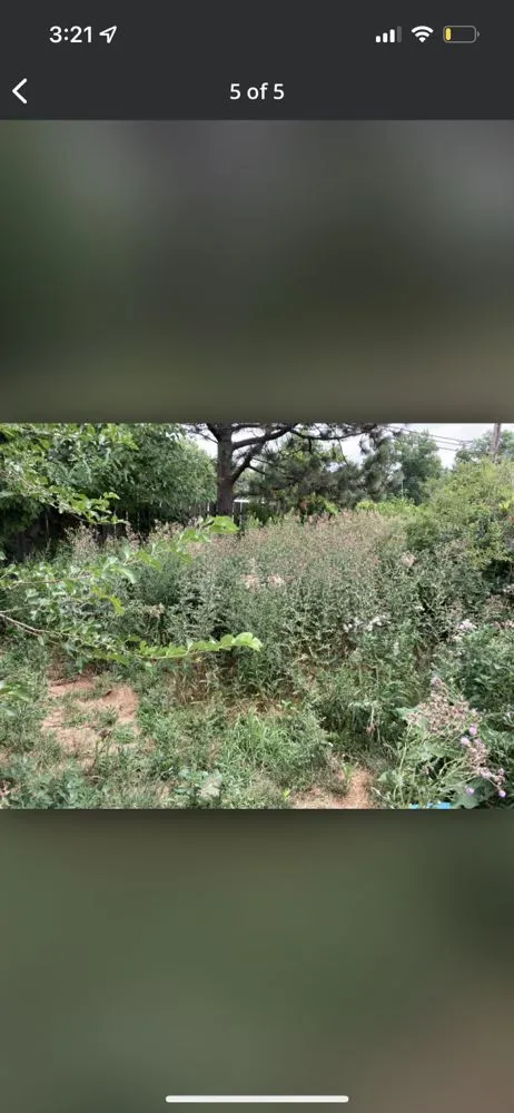 Affordable residential landscaping experts serving Lorain, OH - Millennium Lawn Services