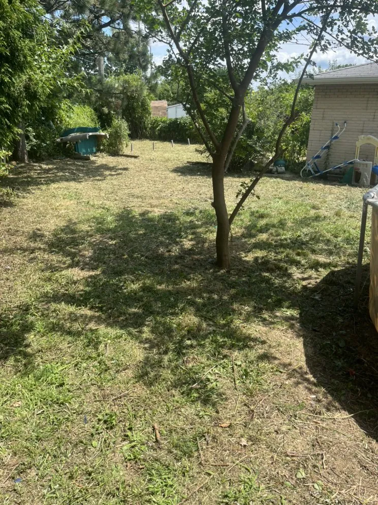 Expert lawn mowing service for year-round maintenance across Lorain, OH - Millennium Lawn Services