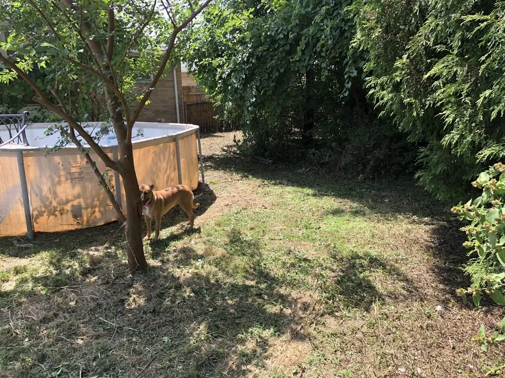 Local garden landscaping in Lorain, OH - Millennium Lawn Services