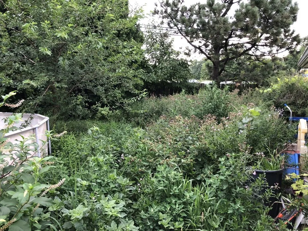 Local lawn mowing service in Lorain, OH by Millennium Lawn Services