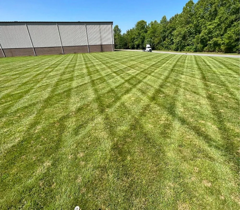 Top-rated landscape design in Chapin, SC by Miller and Gentry Lawn Care