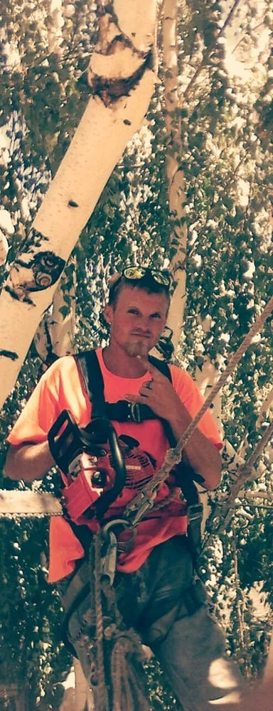 Affordable lawn mowing service experts serving Ogden, UT - Miller and Sons Tree Service