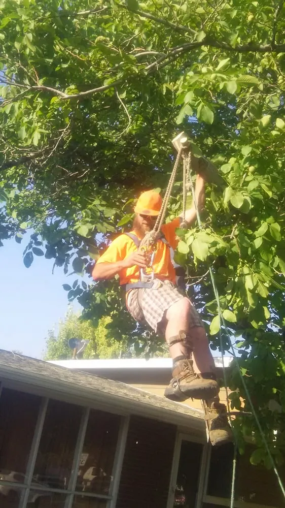 Local landscaping services in Ogden, UT - Miller and Sons Tree Service