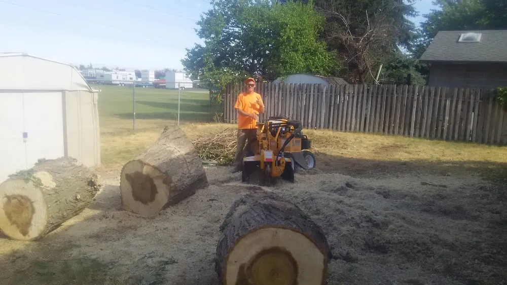 Top-rated landscaping services experts serving Ogden, UT - Miller and Sons Tree Service