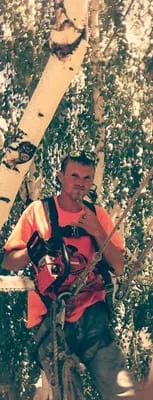 Miller and Sons Tree Service Logo