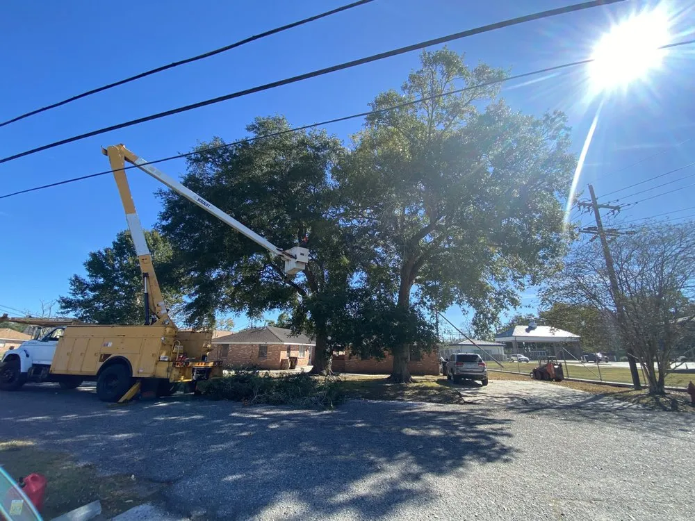 Trusted lawn care service for residential properties in Belle Chasse, LA by Miller Black