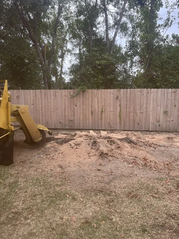 Top-rated landscape installation experts serving Belle Chasse, LA - Miller Black