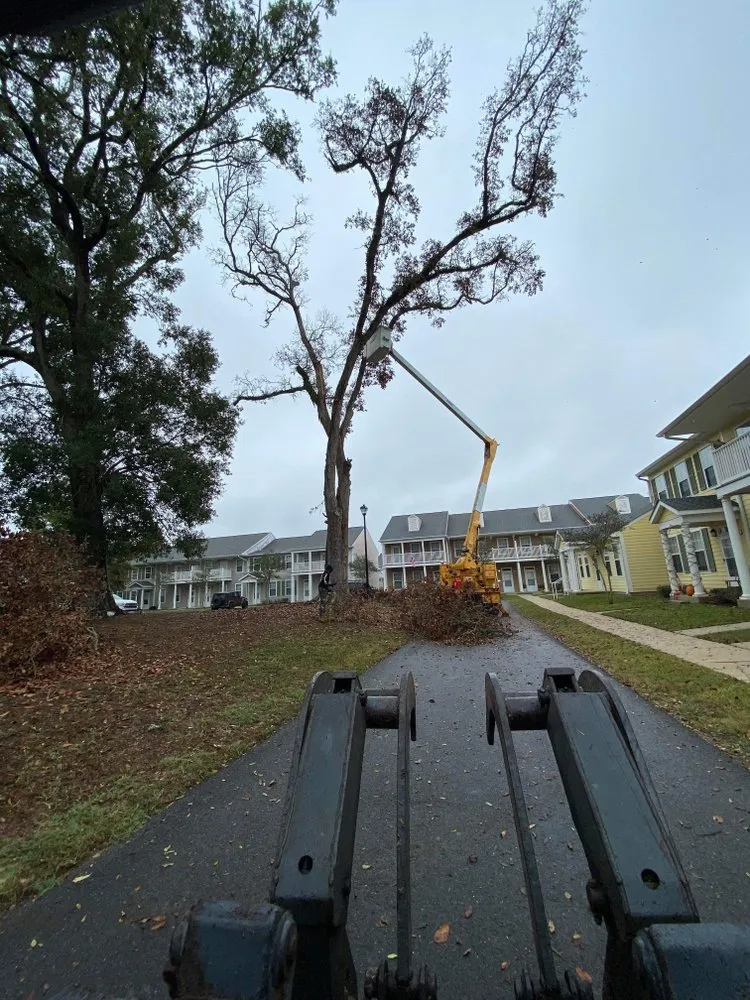 Professional lawn mowing service for beautiful yards in Belle Chasse, LA by Miller Black