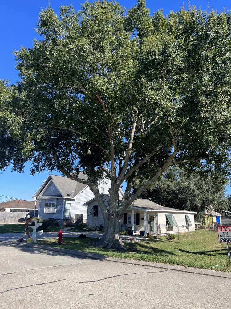 Reliable landscaping services in Belle Chasse, LA by Miller Black