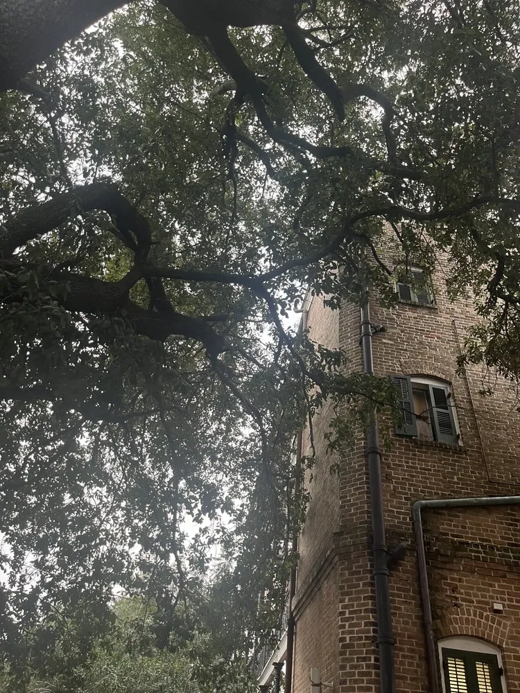 Local lawn care service for year-round maintenance across Belle Chasse, LA - Miller Black