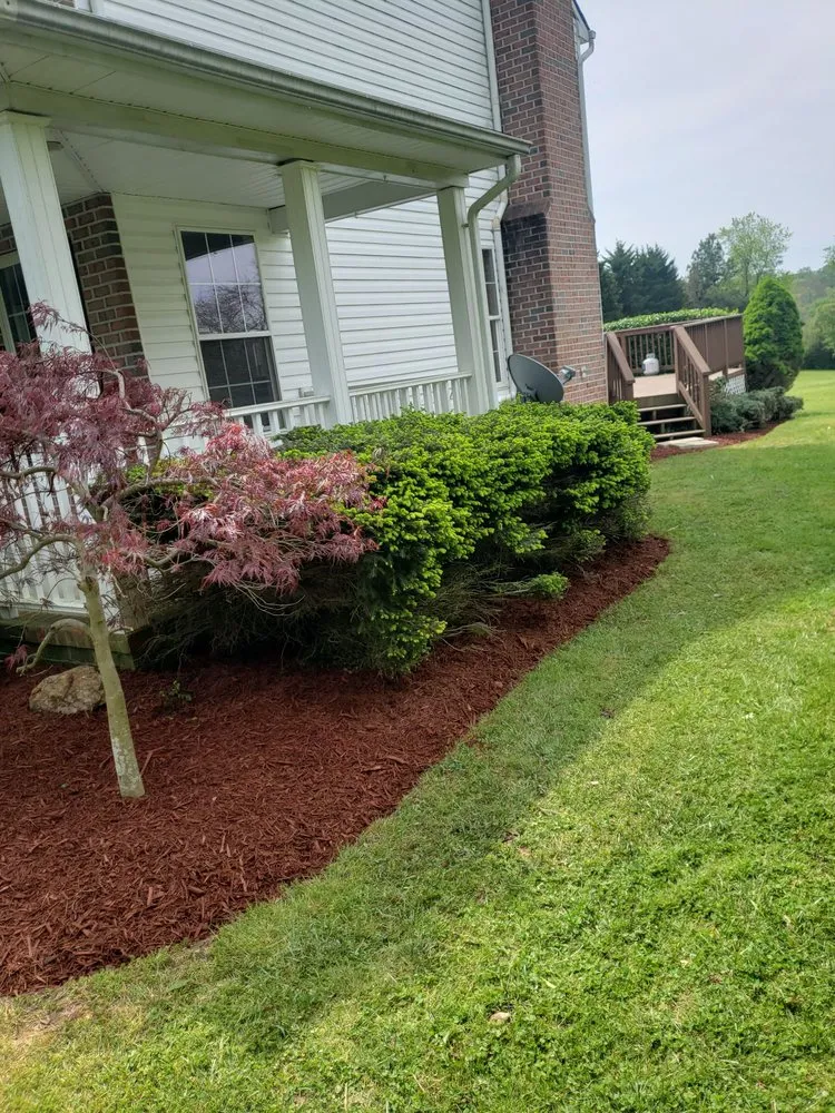 Reliable yard cleanup service experts serving Forest Hill, MD - Miller Brother Services