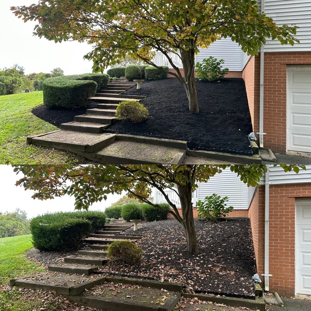 Expert lawn care service in Forest Hill, MD - Miller Brother Services