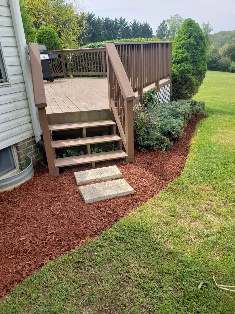 Local yard cleanup service for homes across Forest Hill, MD - Miller Brother Services
