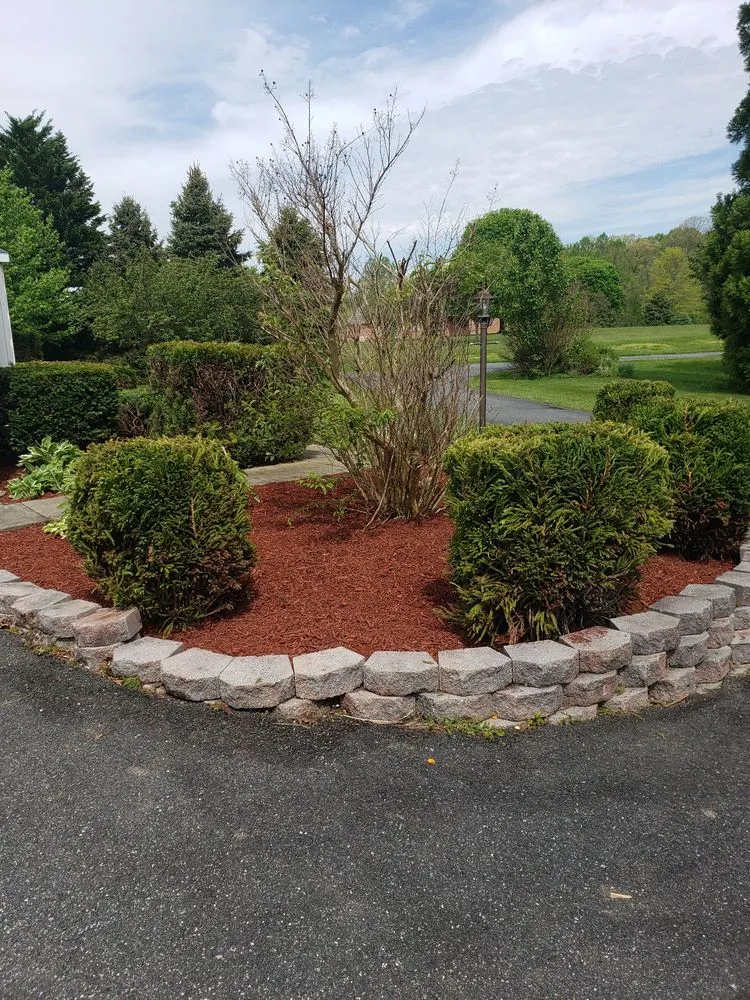 Local residential landscaping experts serving Forest Hill, MD - Miller Brother Services