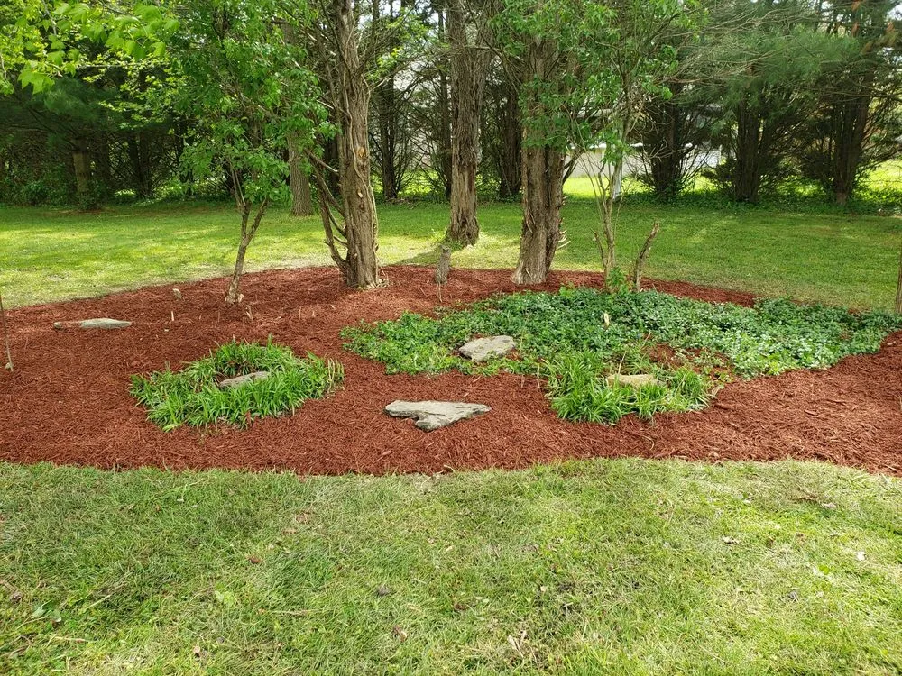 Reliable lawn care service experts serving Forest Hill, MD - Miller Brother Services
