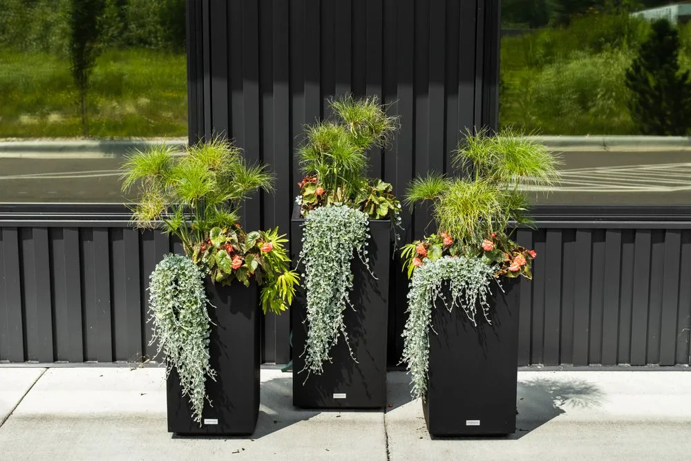 Affordable residential landscaping in Hermantown, MN by Miller Creek Lawn & Landscape