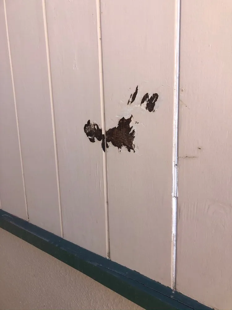 Expert landscape design in McKinleyville, CA - Miller Farms Nursery