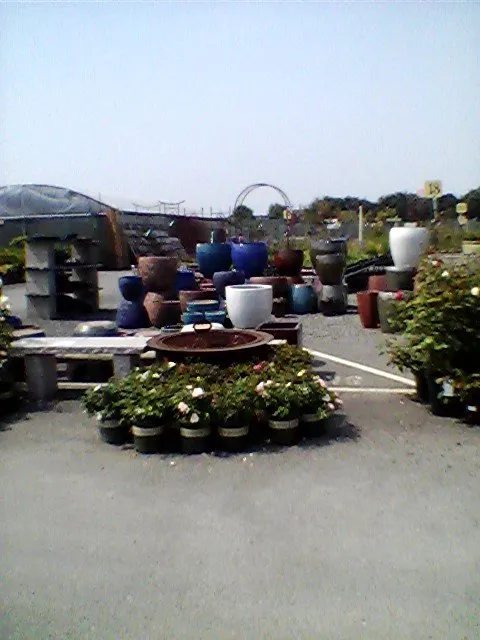 Top-rated landscaping services in McKinleyville, CA - Miller Farms Nursery