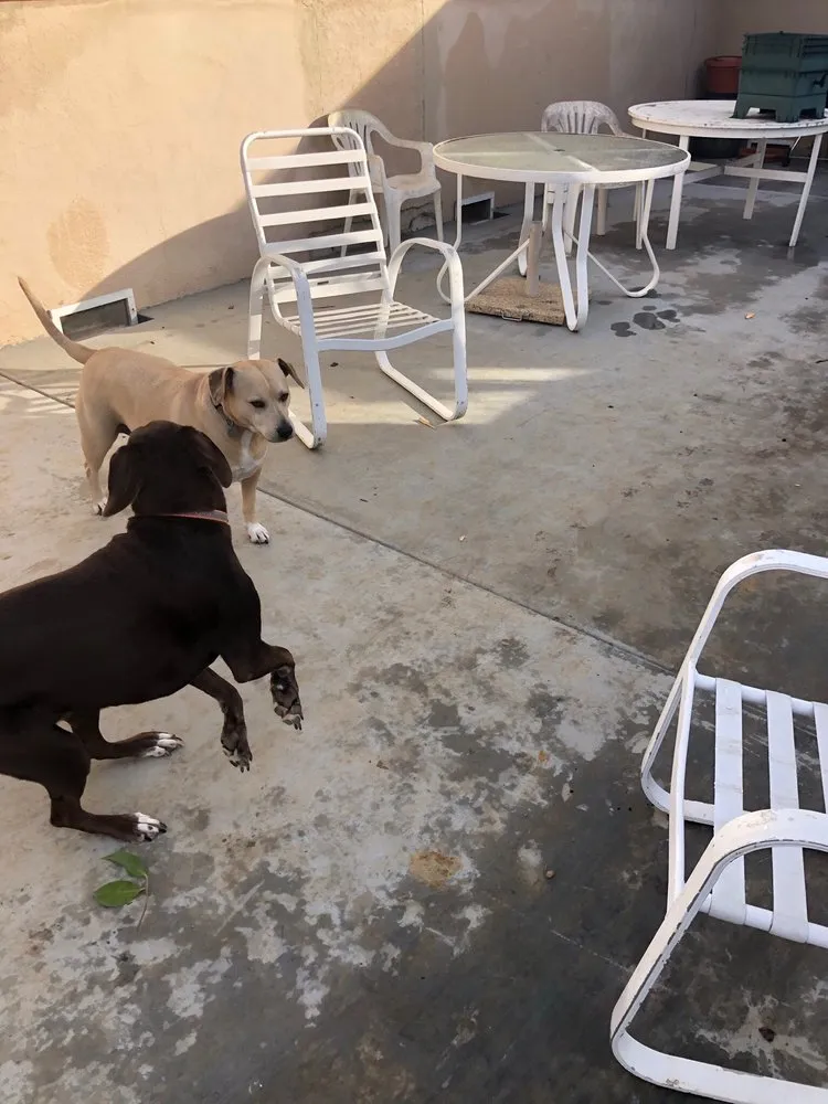 Local yard cleanup service in McKinleyville, CA - Miller Farms Nursery