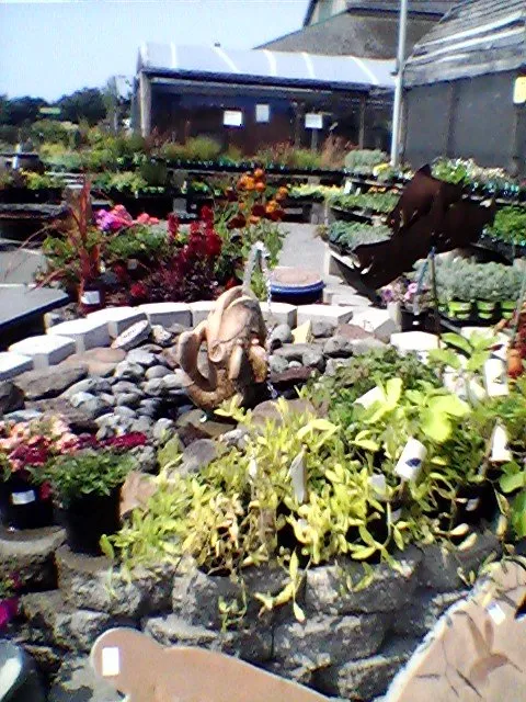 Trusted lawn mowing service near you in McKinleyville, CA by Miller Farms Nursery