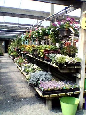 Miller Farms Nursery