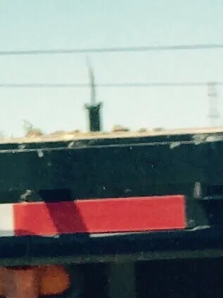 Expert outdoor landscaping in Dallas, TX - Miller Grass Company