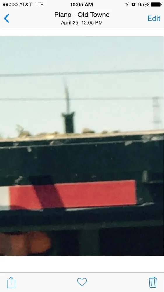 Local outdoor landscaping experts serving Dallas, TX - Miller Grass Company