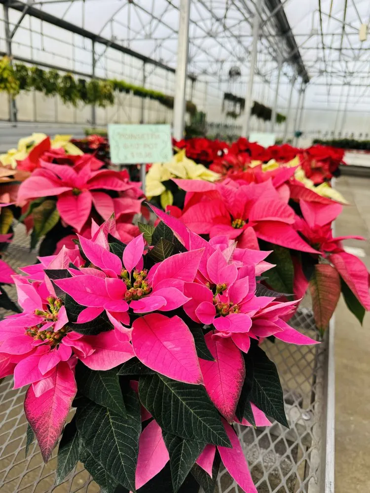 Professional yard maintenance for homes in Norwalk, OH by Miller Landscape & Gardens