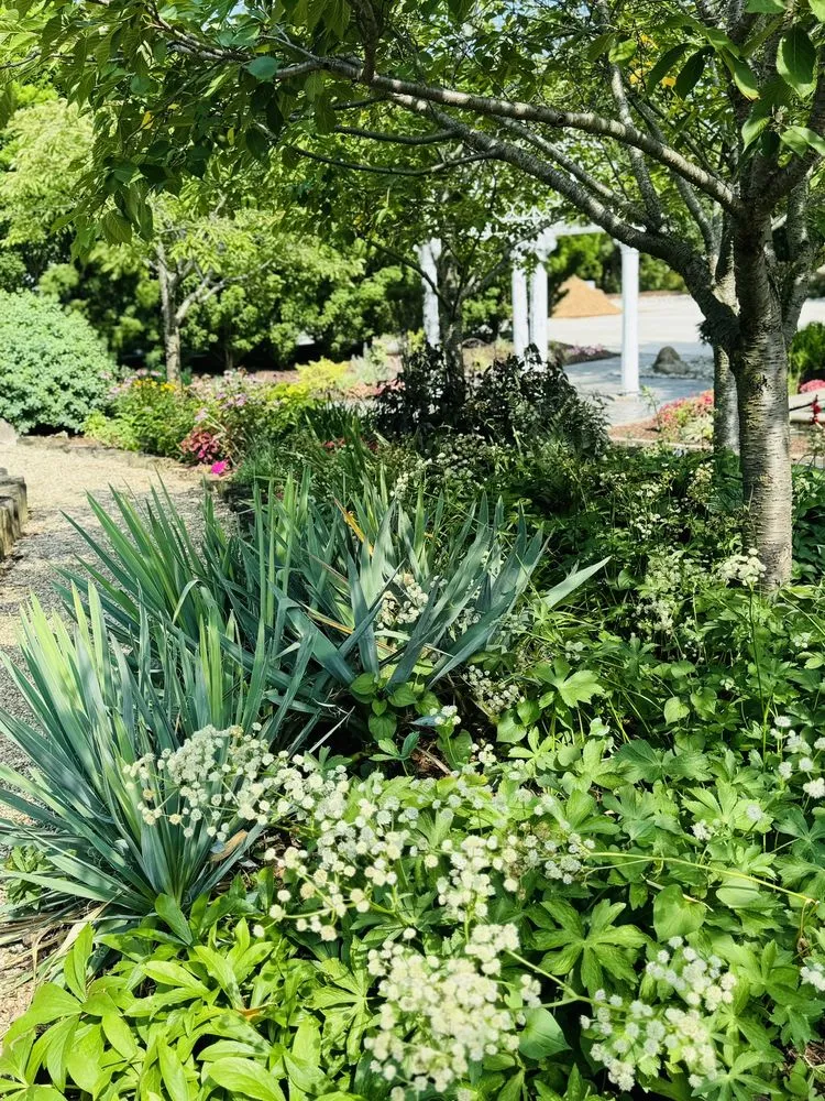 Top-rated lawn care service experts serving Norwalk, OH - Miller Landscape & Gardens